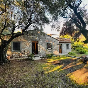 https://la-casina-di-vallecchia.it-tuscanyhotel.com